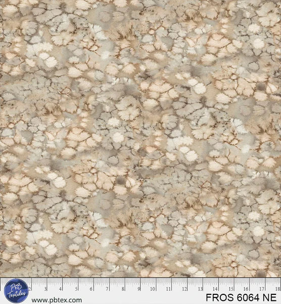 FROS6064NE_grande.jpg