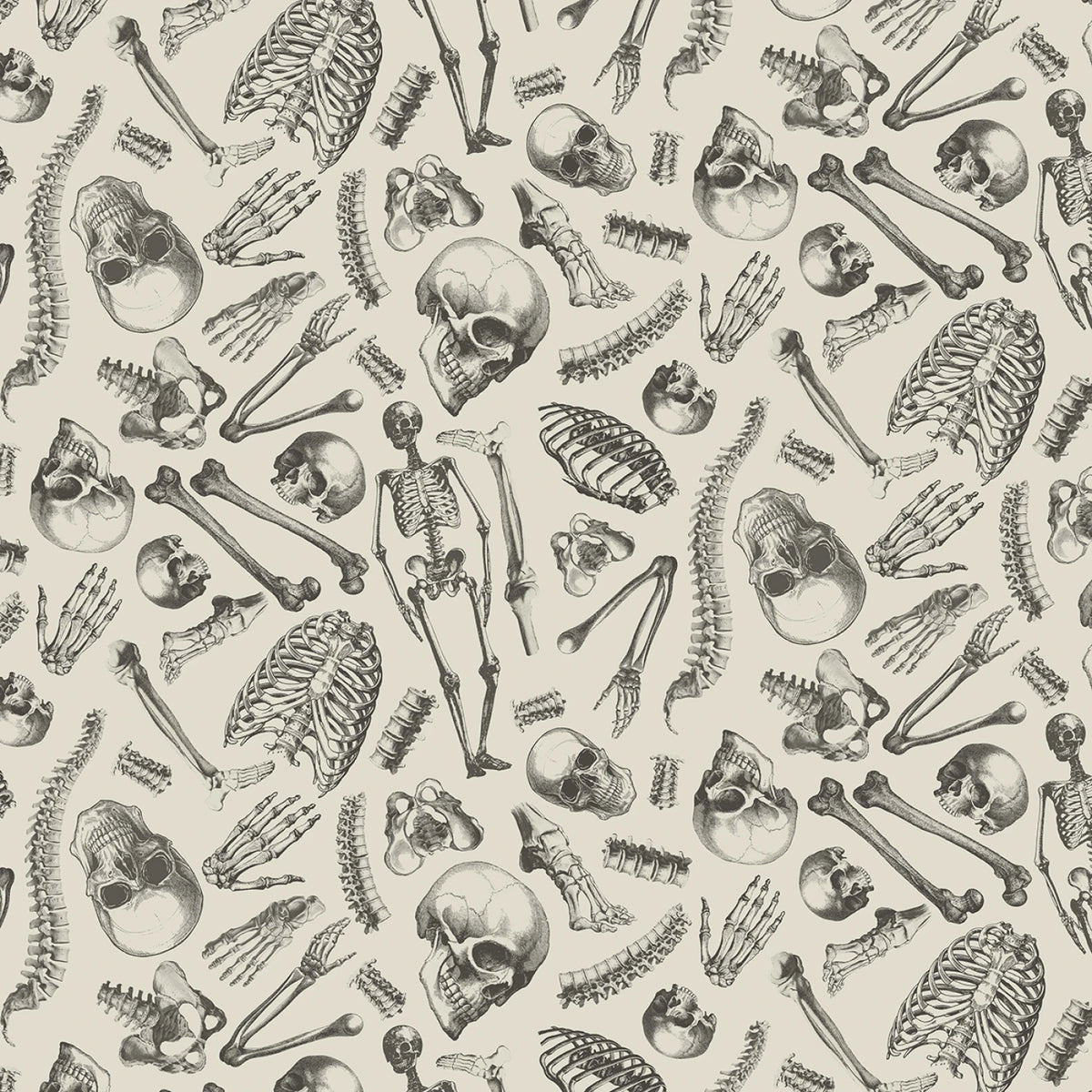 MM - Boo-tiful -Mr. Bones - Cream