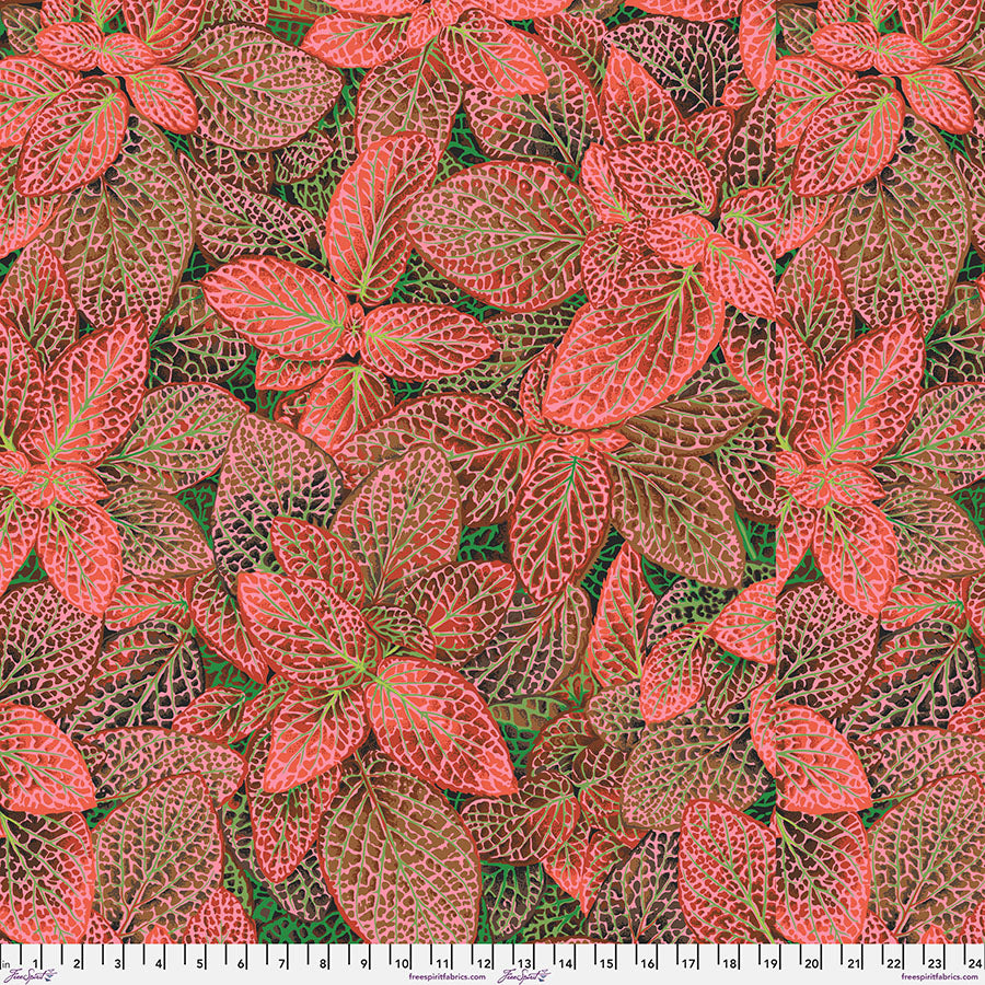 FS - Kaffe Fassett Collective August 2024 - Fittonia