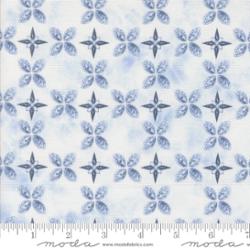 MF Winter Chill North Star - Frost