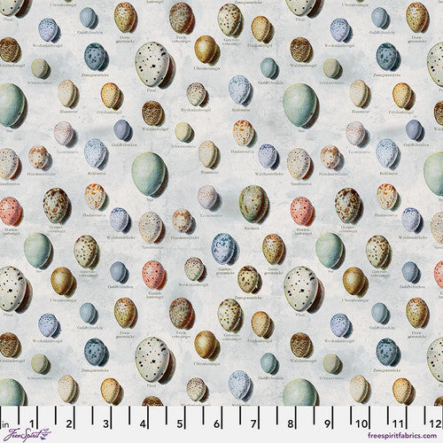 FS Tim Holtz Palette Blue - Eggs
