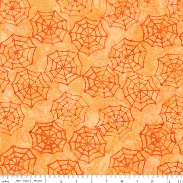 RB Expressions Batiks Fright this Way - Apricot
