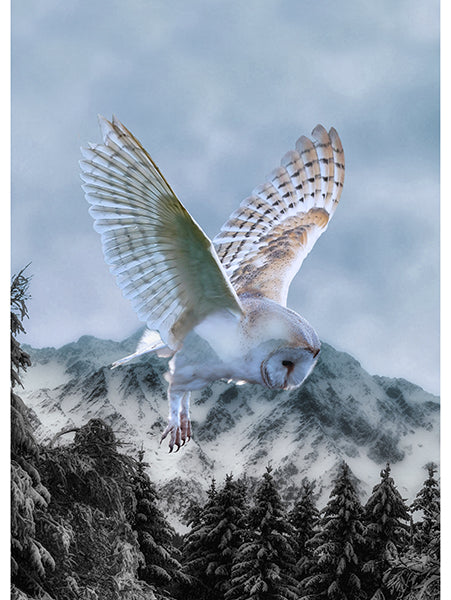 HF Call of the Wild - Owl - Powder Blue