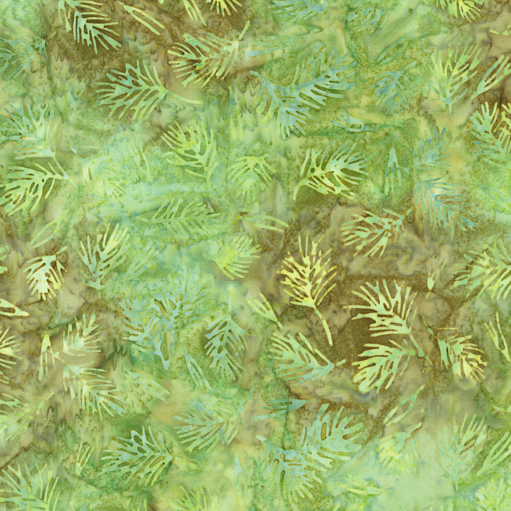 RK Woodland Wonders - Nature