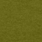 R050193-Olive.jpg