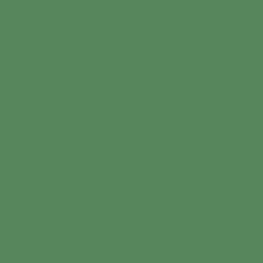 BX Superior Silky Solids - Green