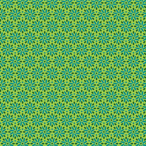 BX Transparency - Daisy Citrus