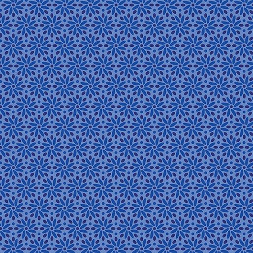 BX Transparency - Daisy Periwinkle