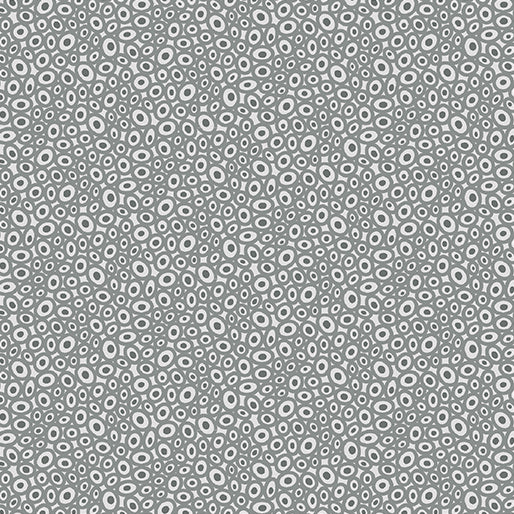 BX Transparency - Beads Gray