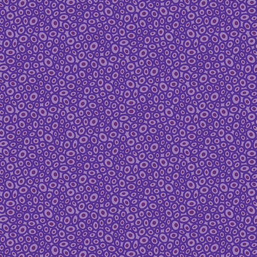 BX Transparency - Beads Lavender