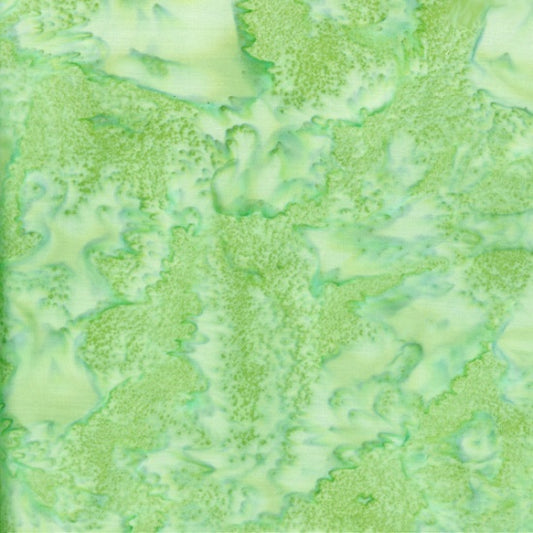 HF Bali Watercolors - Monstera