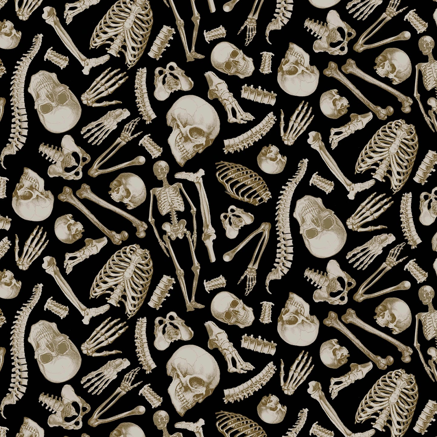 DCX12277-BLAC.jpg