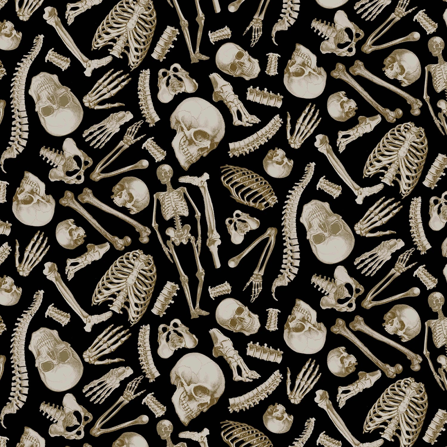 DCX12277-BLAC.jpg