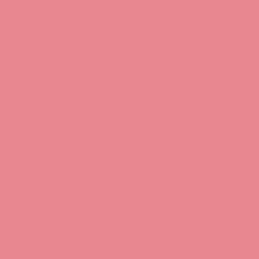 BX Superior Solids - Carnation