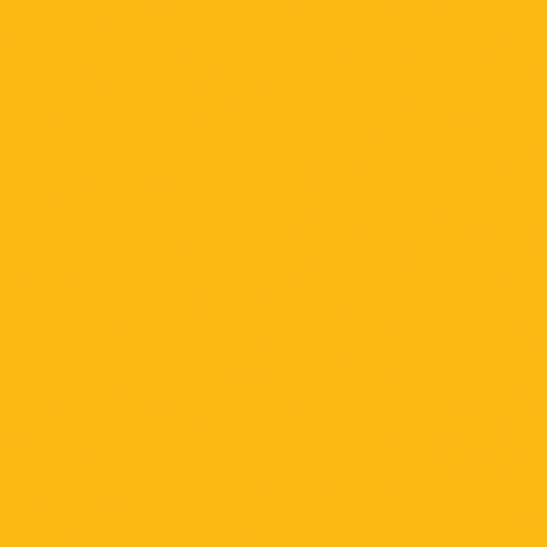 BX Superior Solids - Squash