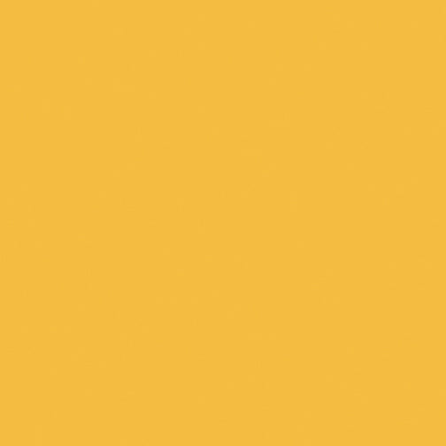 BX Superior Solids - Ginger