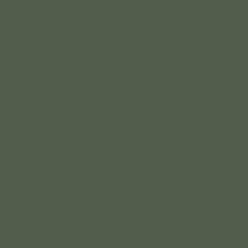 BX Superior Solids - Fern