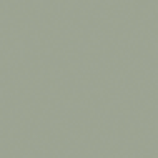 BX Superior Solids - Sage