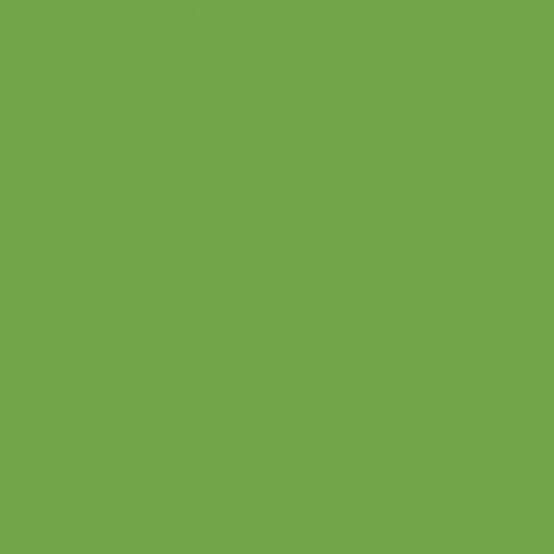 BX Superior Solids - Apple Green
