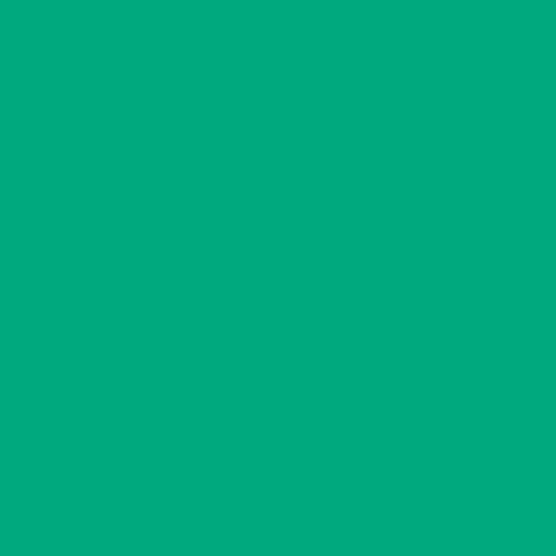 BX Superior Solids - Spruce
