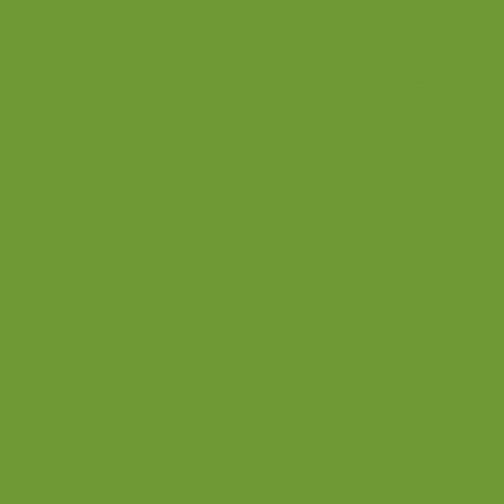 BX Superior Solids - Citron