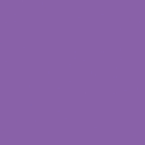 BX Superior Solids - Aster