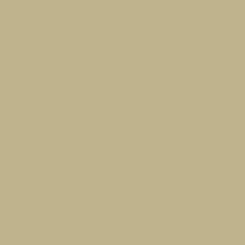 BX Superior Solids - Latte