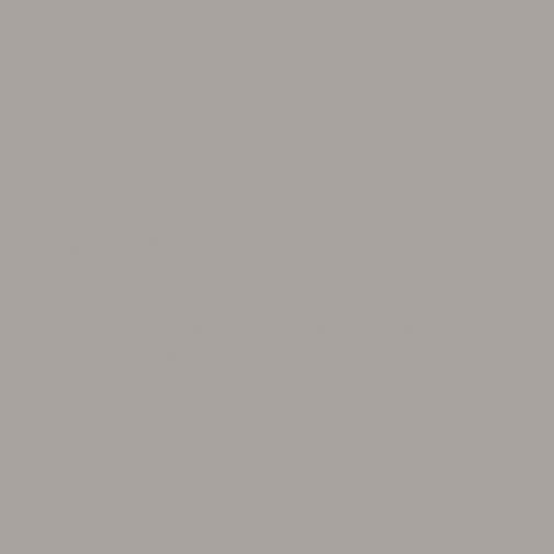 BX Superior Solids - Putty