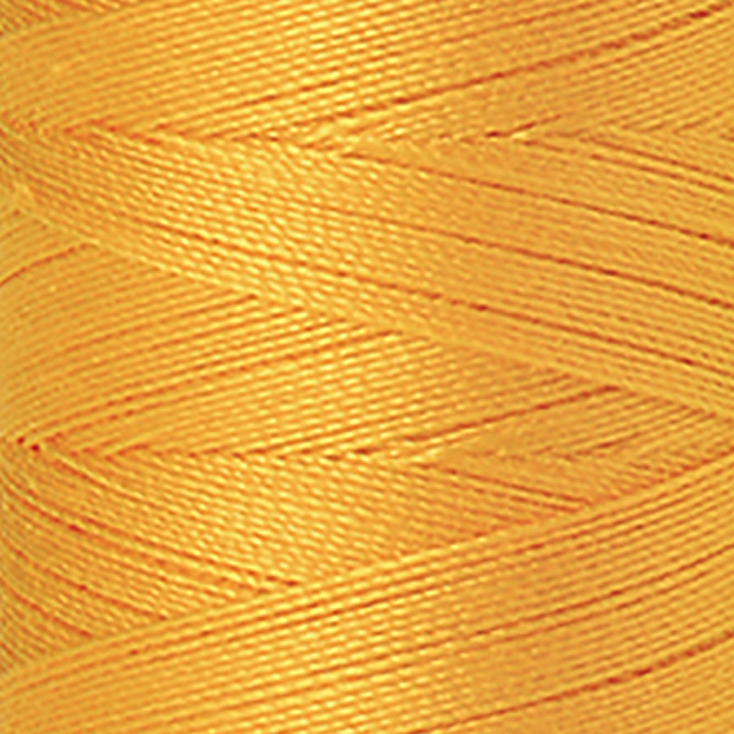 MET9105-2522.jpg