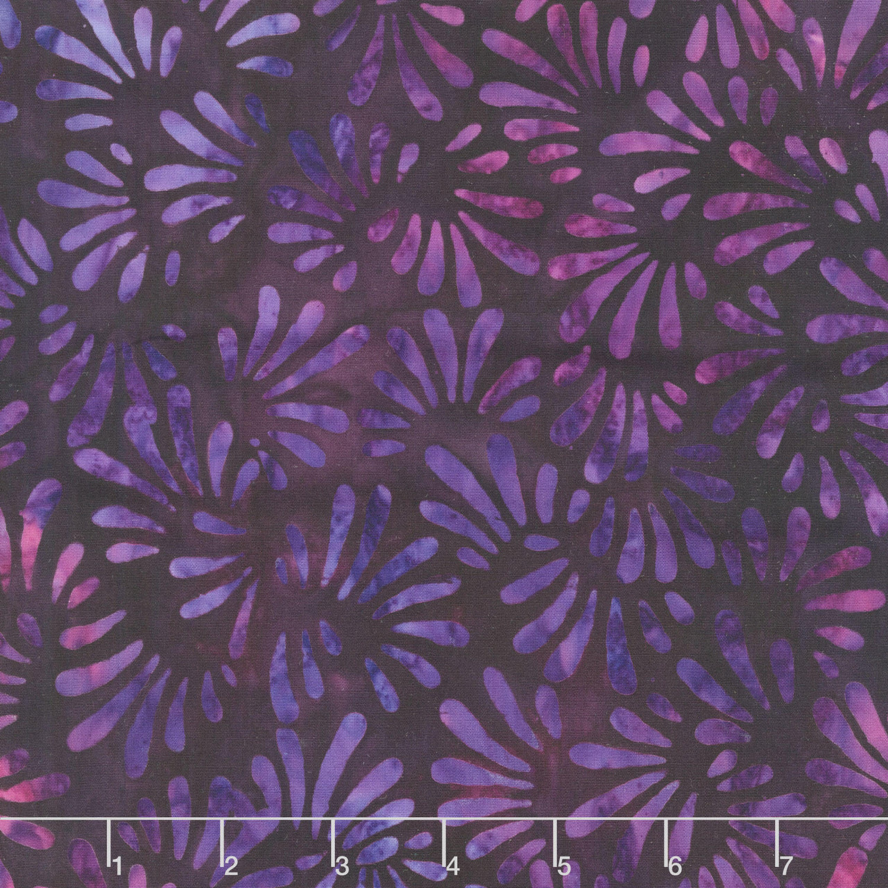 Untitled.jpg