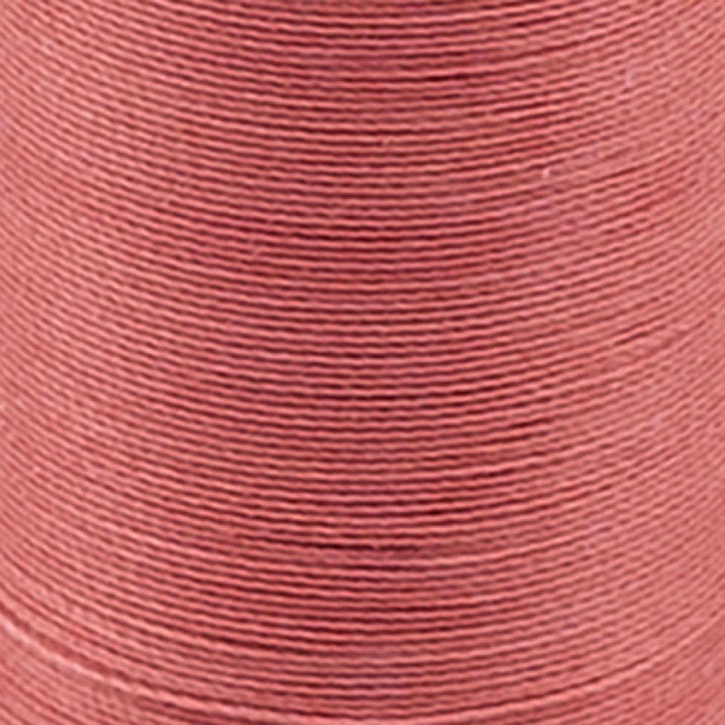 Untitled.jpg