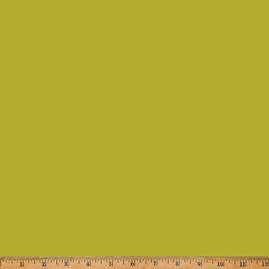 T4878-652-Avocado.jpg