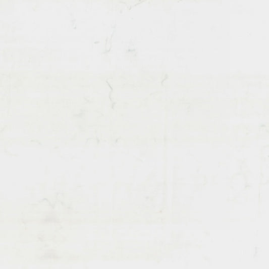 1895-307-Snow.jpg