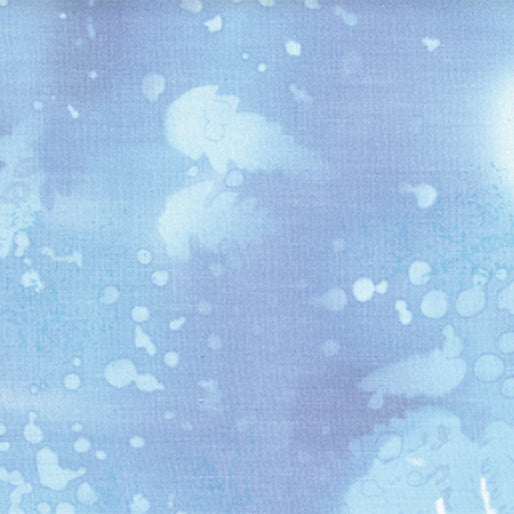 BX Fossil Fern 108 - Sky