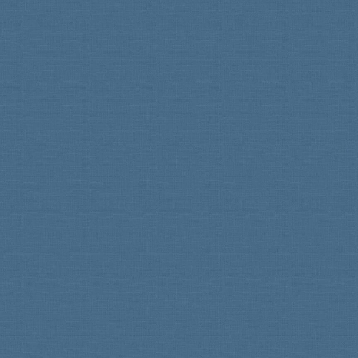 Untitled.jpg