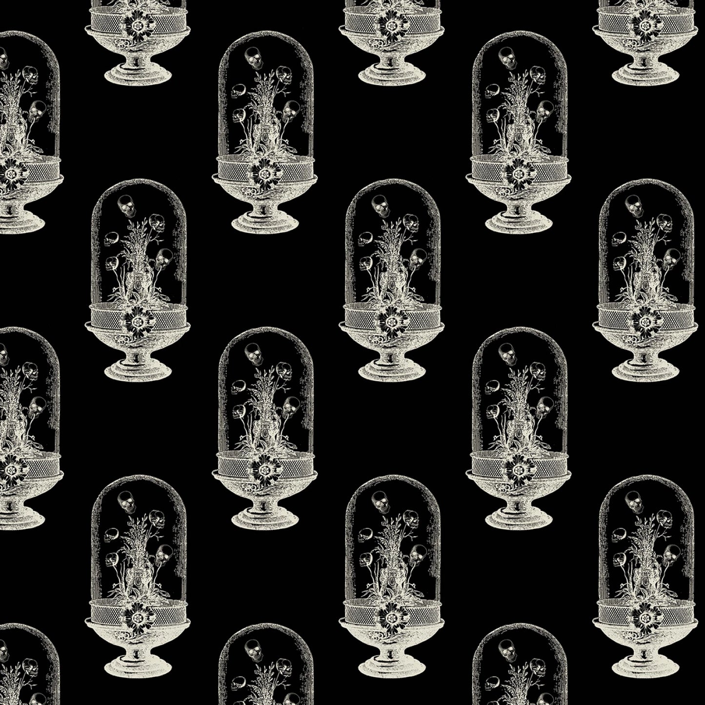 DCX12276-BLAC.jpg
