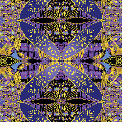 Untitled.jpg