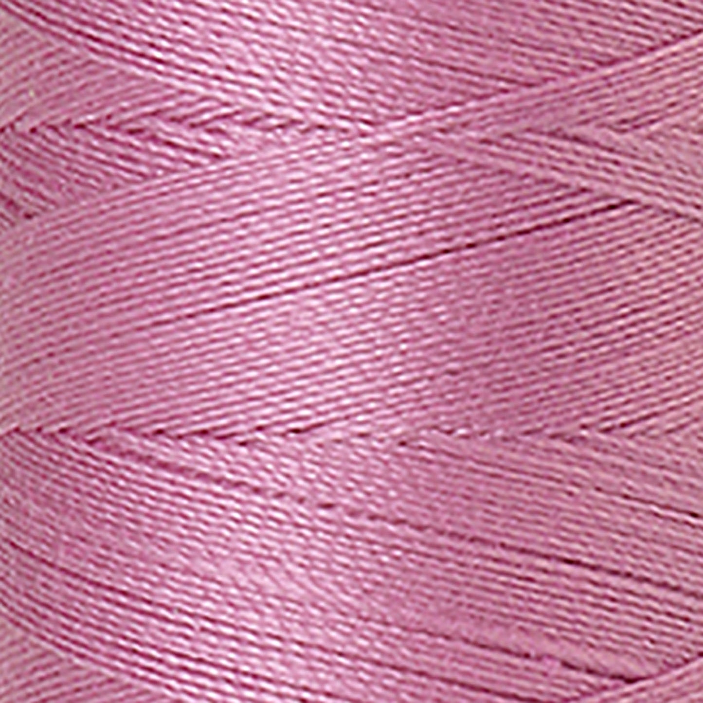 MET9105-0052.jpg