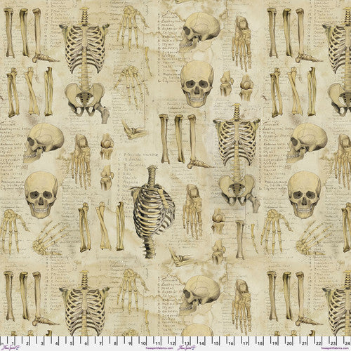 FS Tim Holtz - Laboratory - Anatomy Canvas Neutral