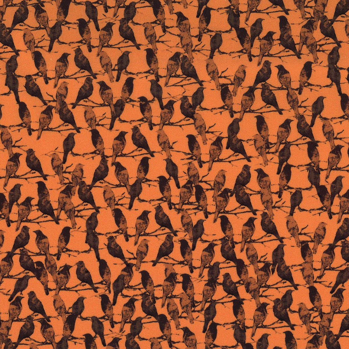 MM - Boo-tiful - The Raven  - Orange