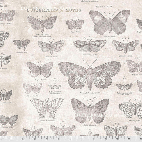 FS Tim Holtz Monochrome - Butterflies Parchment