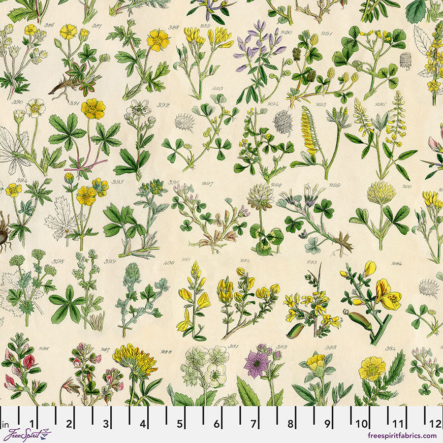 FS Tim Holtz Palette Yellow - Botanical