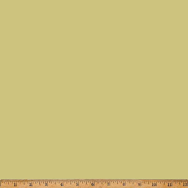 HF 24/7 Solids - Cactus