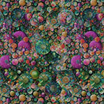 HF Bubblelicious - Abalone