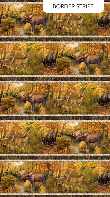 NF Naturescapes Wilderness - Border Stripe
