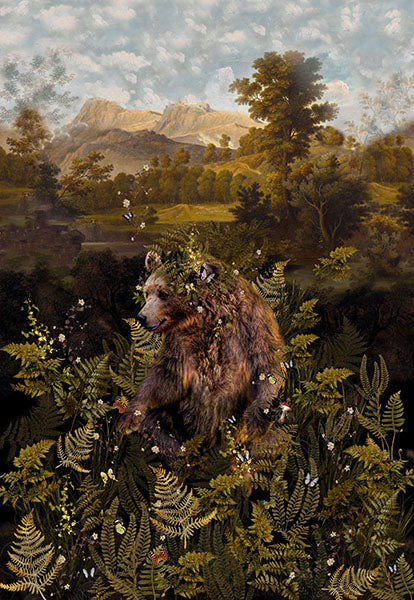 HF Among the Ferns - Bear