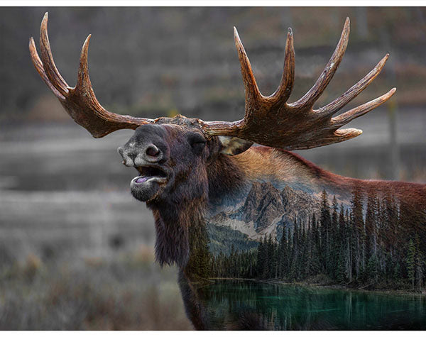 HF Call of the Wild - Deep Earth