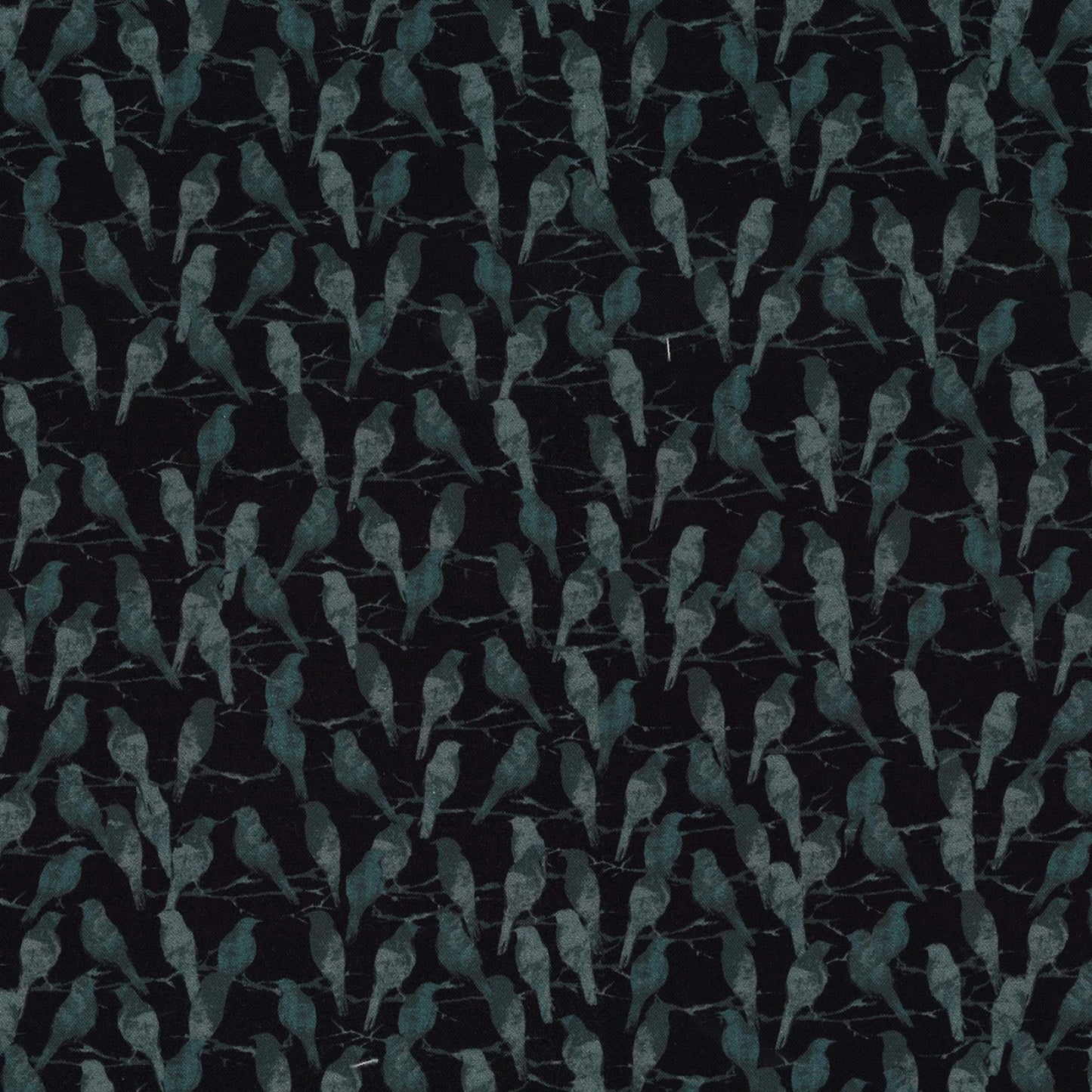 DCX12279-BLAC.jpg
