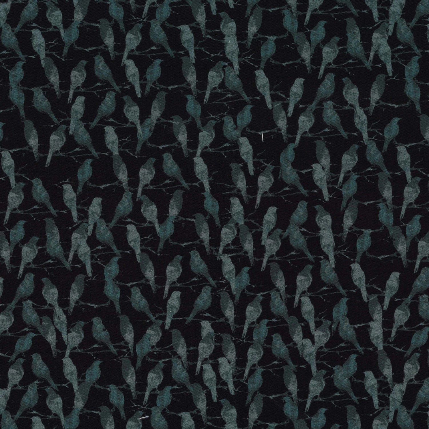 DCX12279-BLAC.jpg