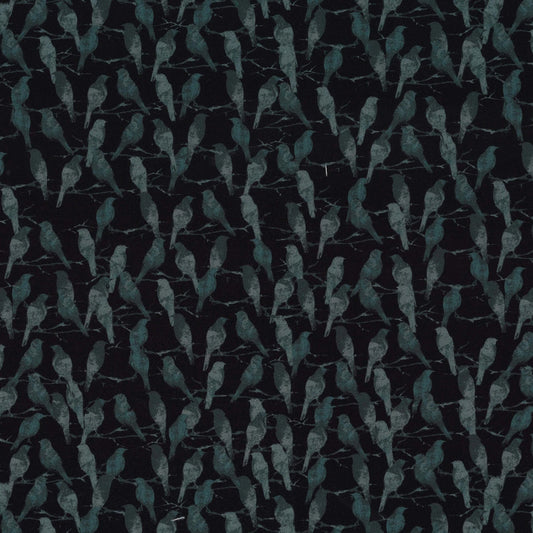 DCX12279-BLAC.jpg